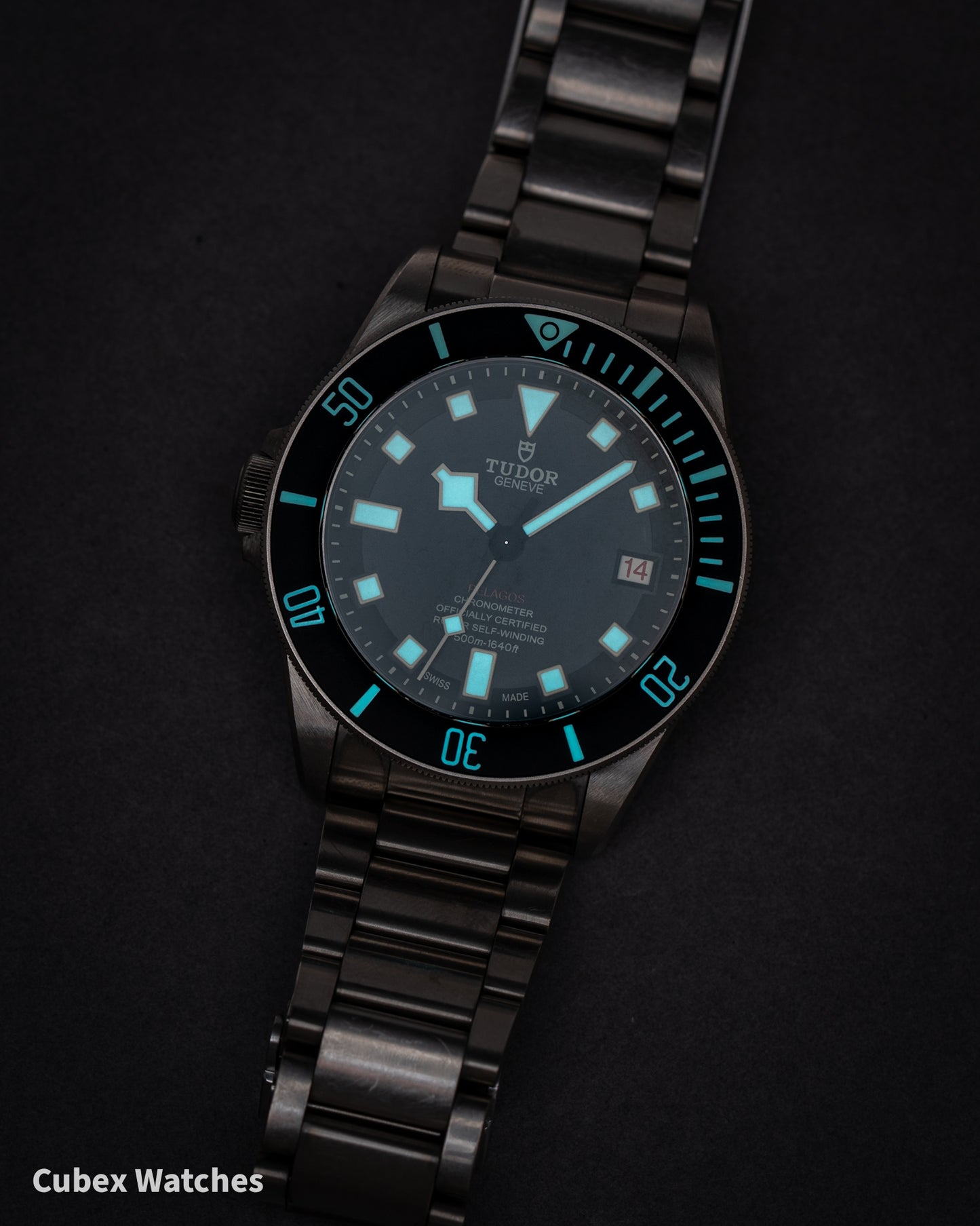 Tudor Pelagos LHD M25610TNL