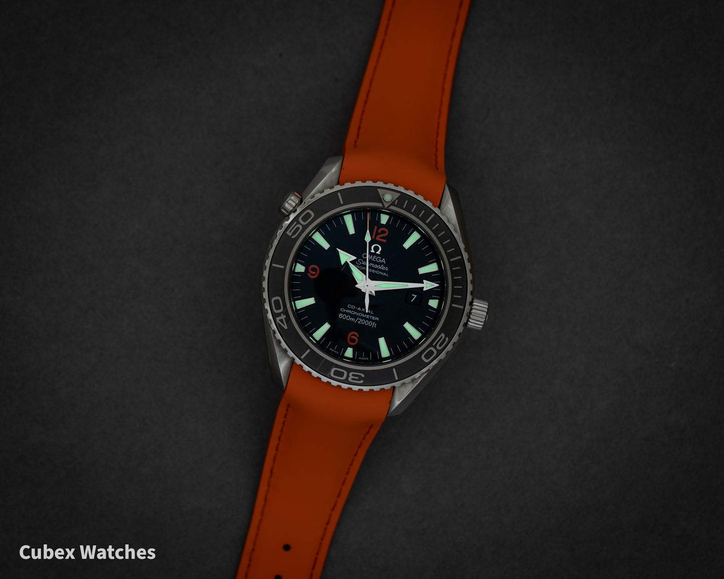 Omega Seamaster Planet Ocean 2900.51