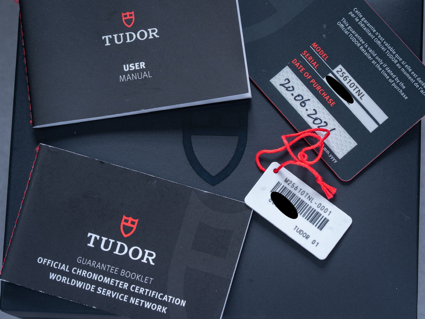 Tudor Pelagos LHD 25610TNL