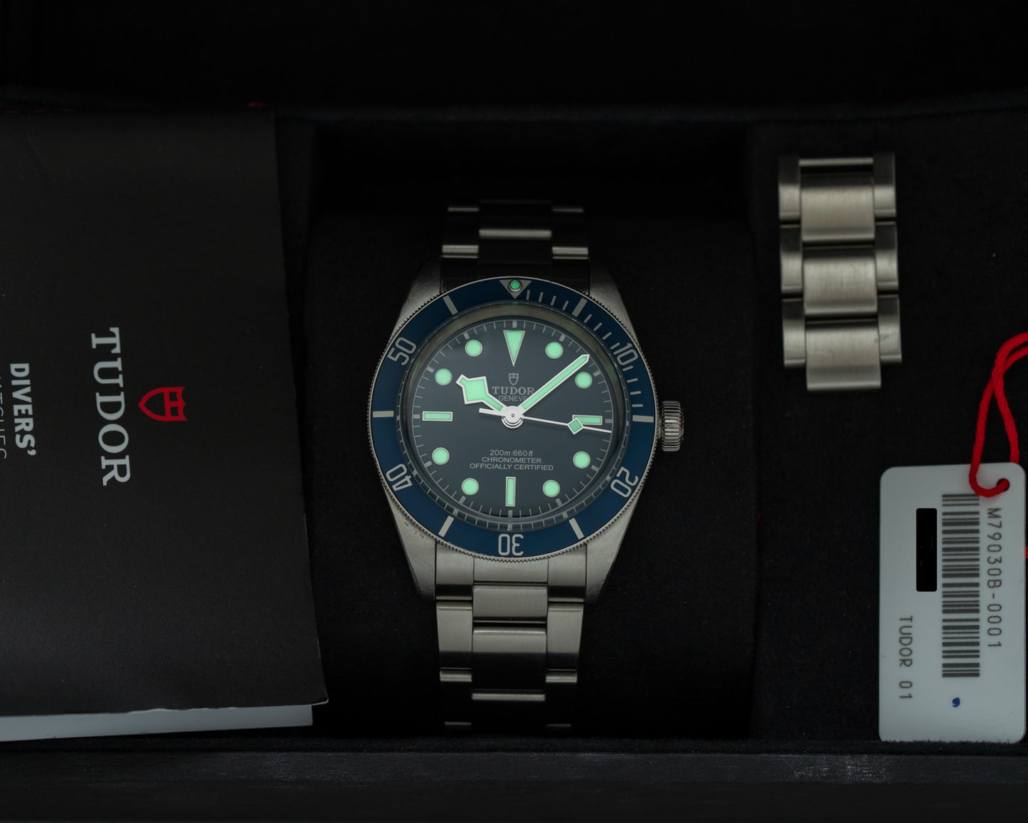 Tudor Black Bay 58 with T-fit M79030B