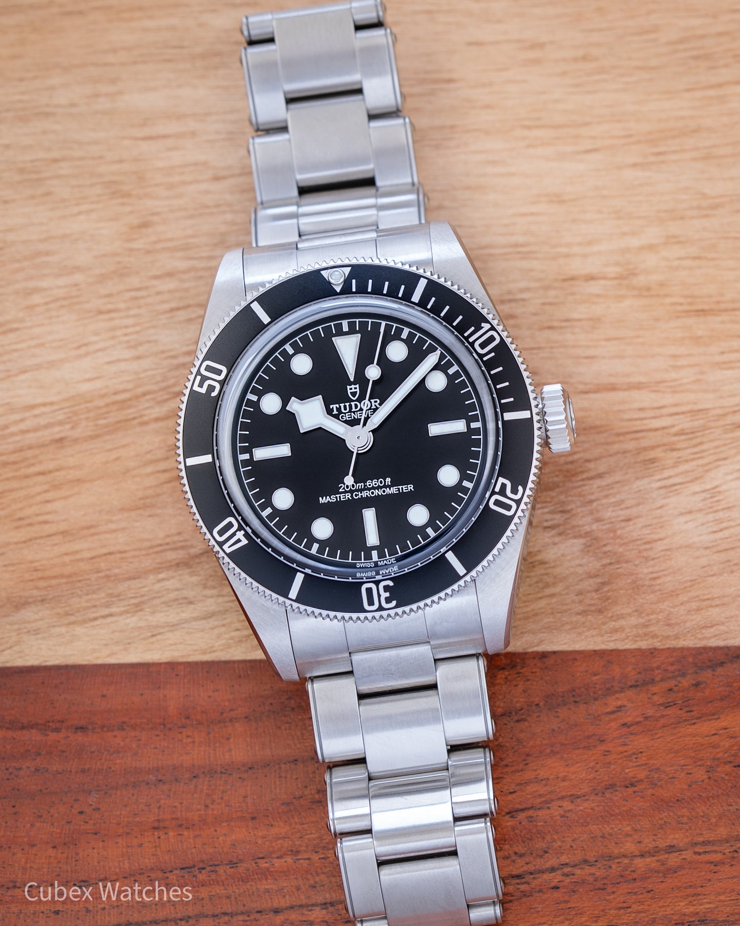 Tudor Black Bay 41 Monochrome M7941A1A0NU