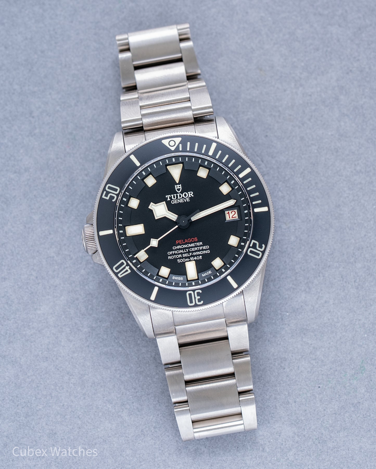 Tudor Pelagos LHD M25610TNL
