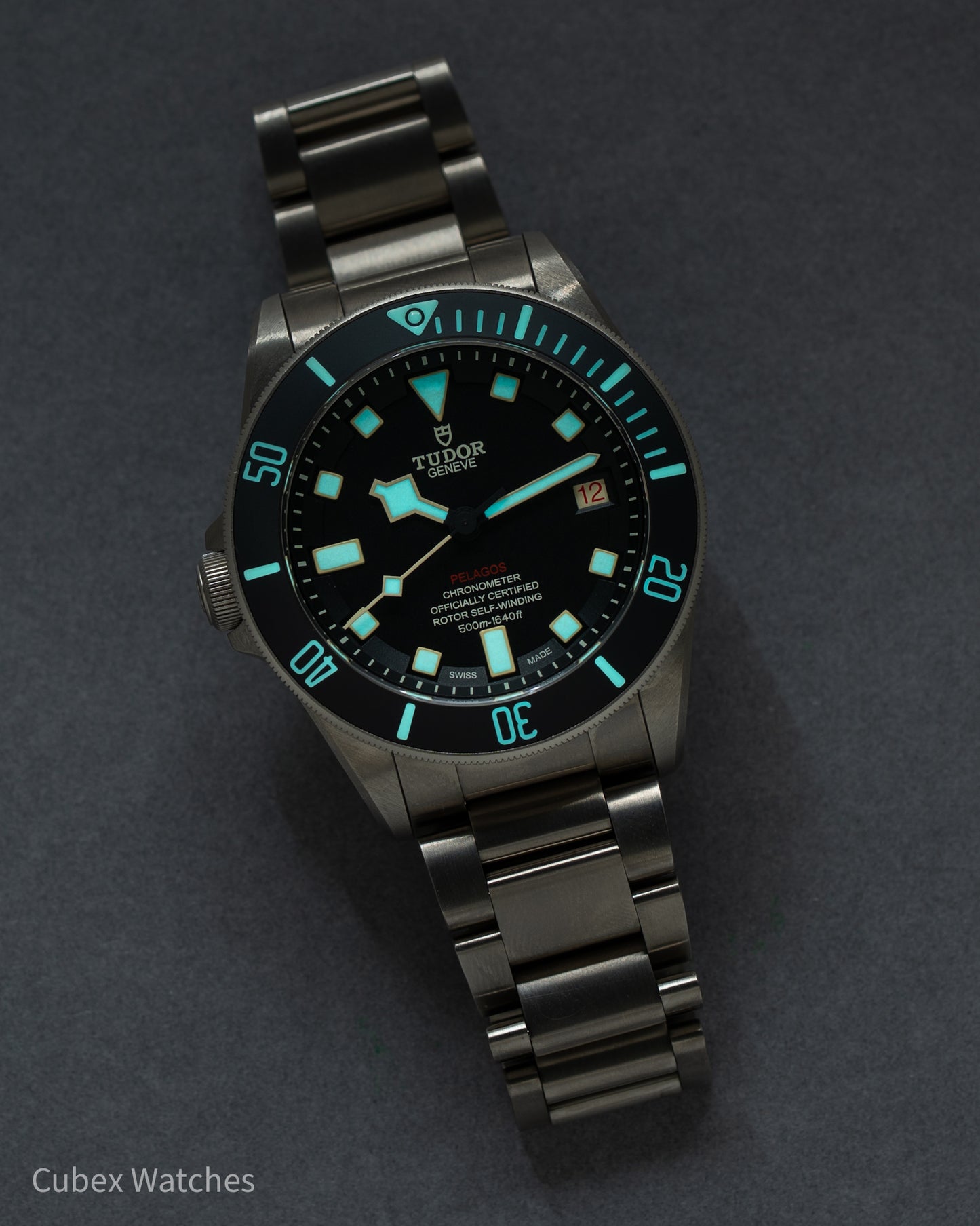 Tudor Pelagos LHD M25610TNL