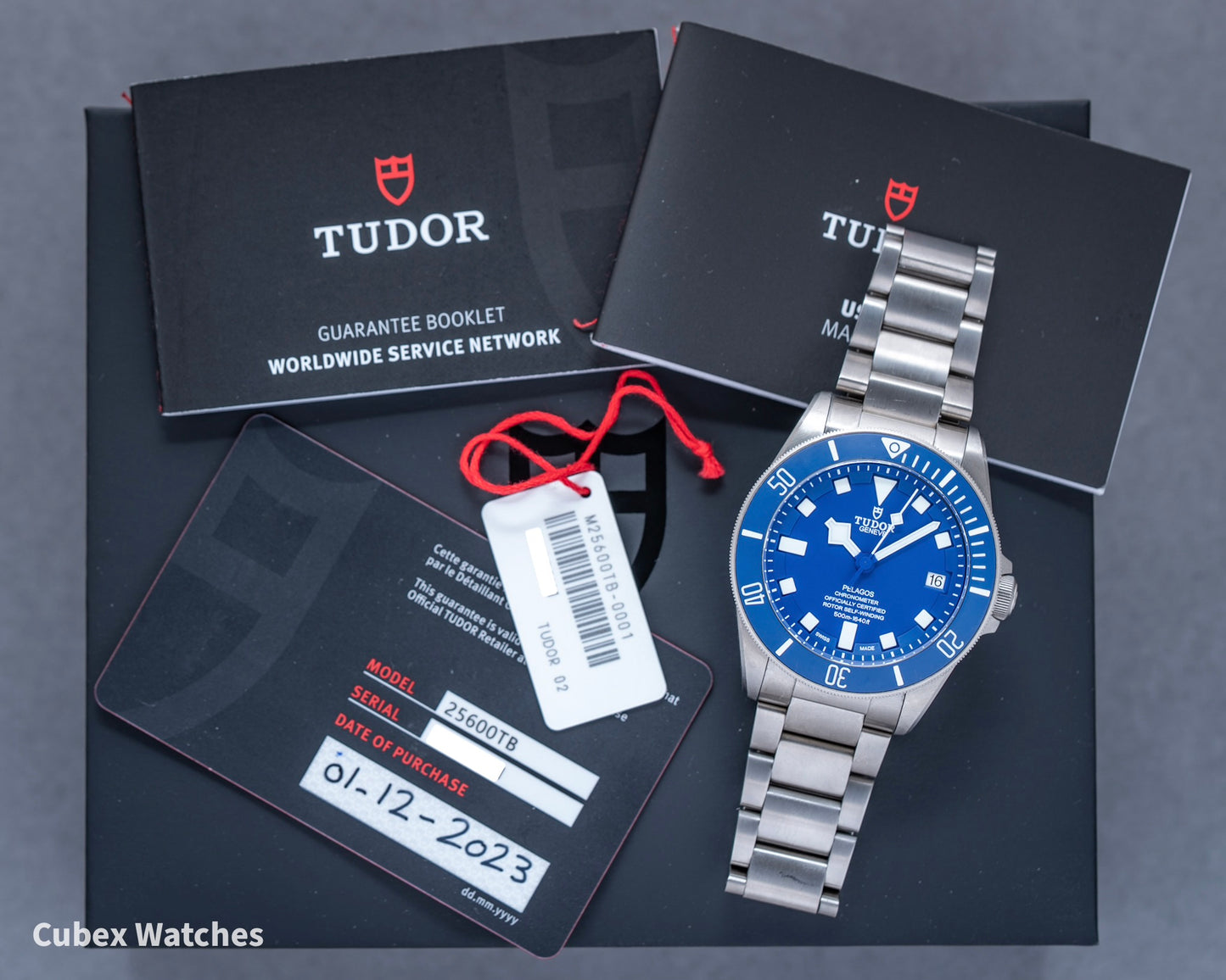 Tudor Pelagos 25600TB