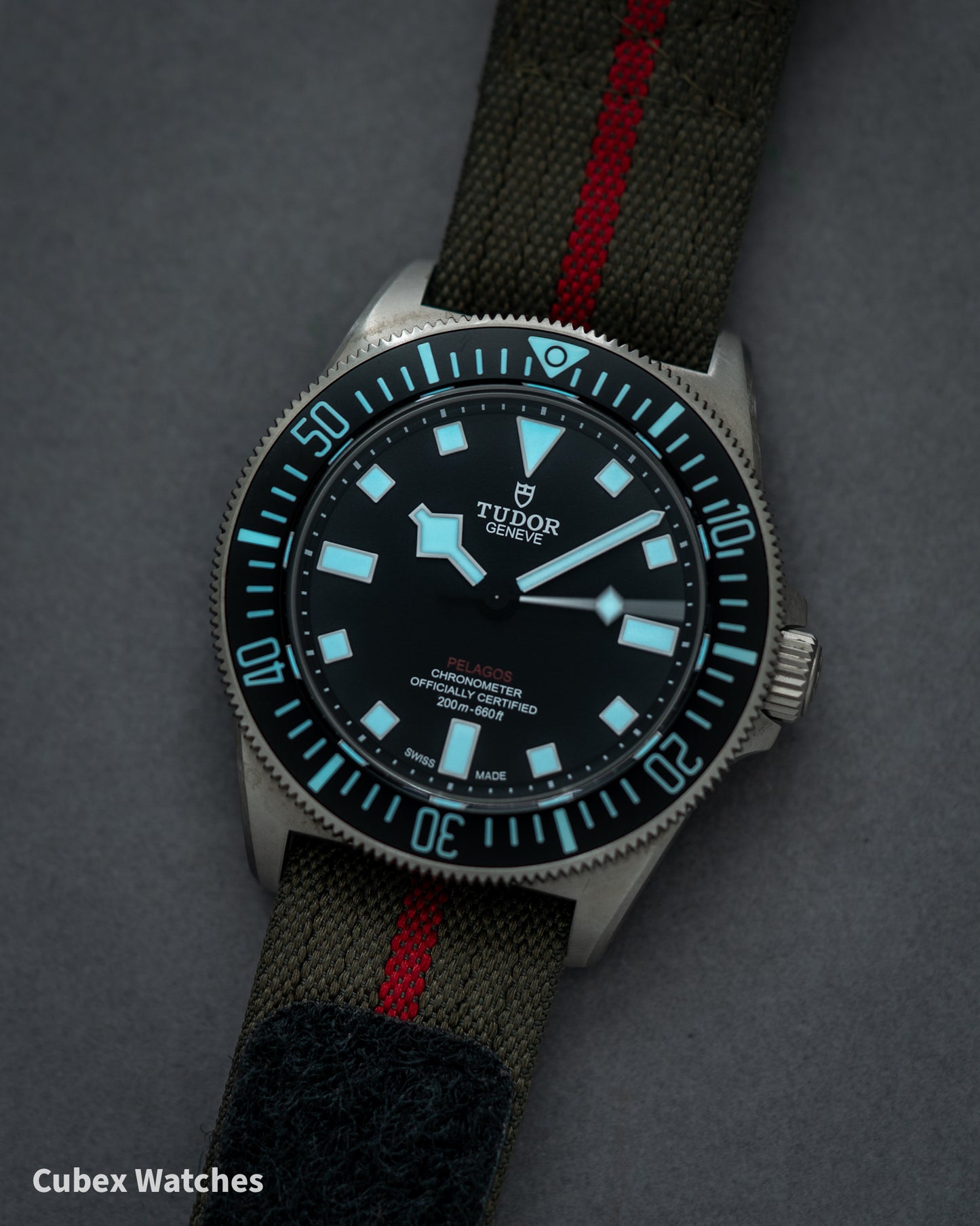 Tudor Pelagos FXD M25717N