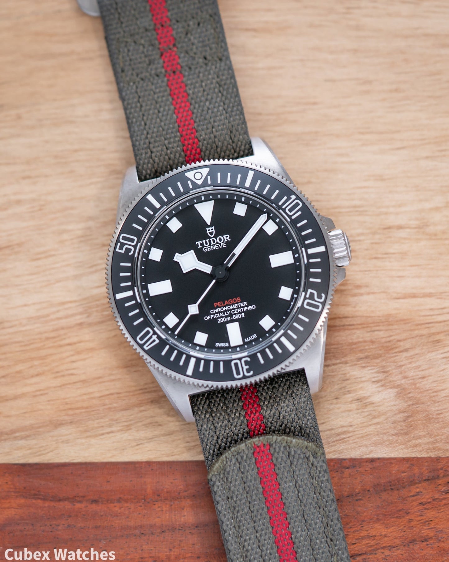 Tudor Pelagos FXD M25717N